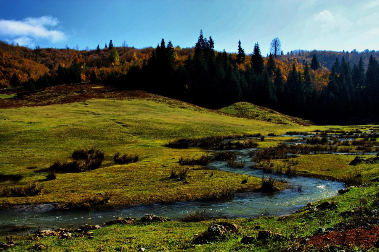 Wellborn Luxury Hotel Коджаели Екстериор снимка