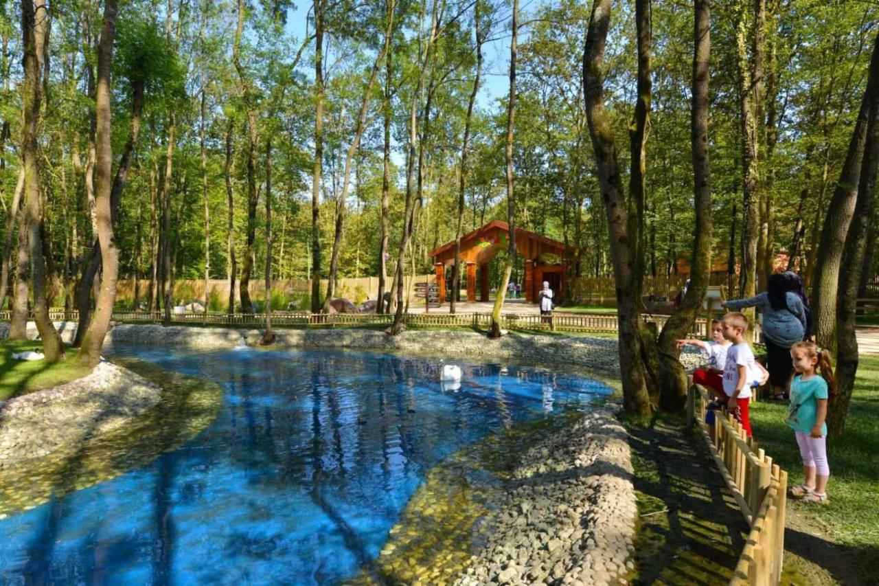 Wellborn Luxury Hotel Коджаели Екстериор снимка